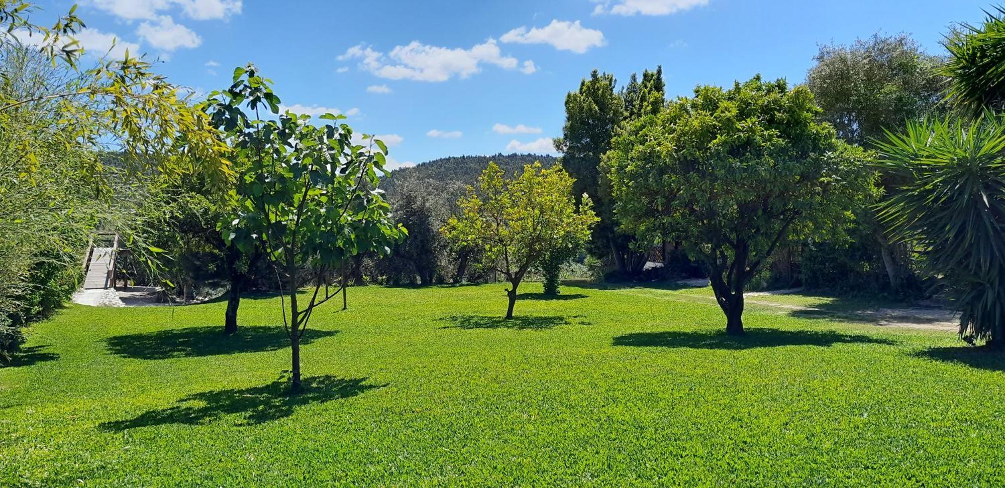 Quinta Do Benjamim - Tejo "Experience For 2, Family Or Relax" Vila Praia do Ribatejo Exterior foto